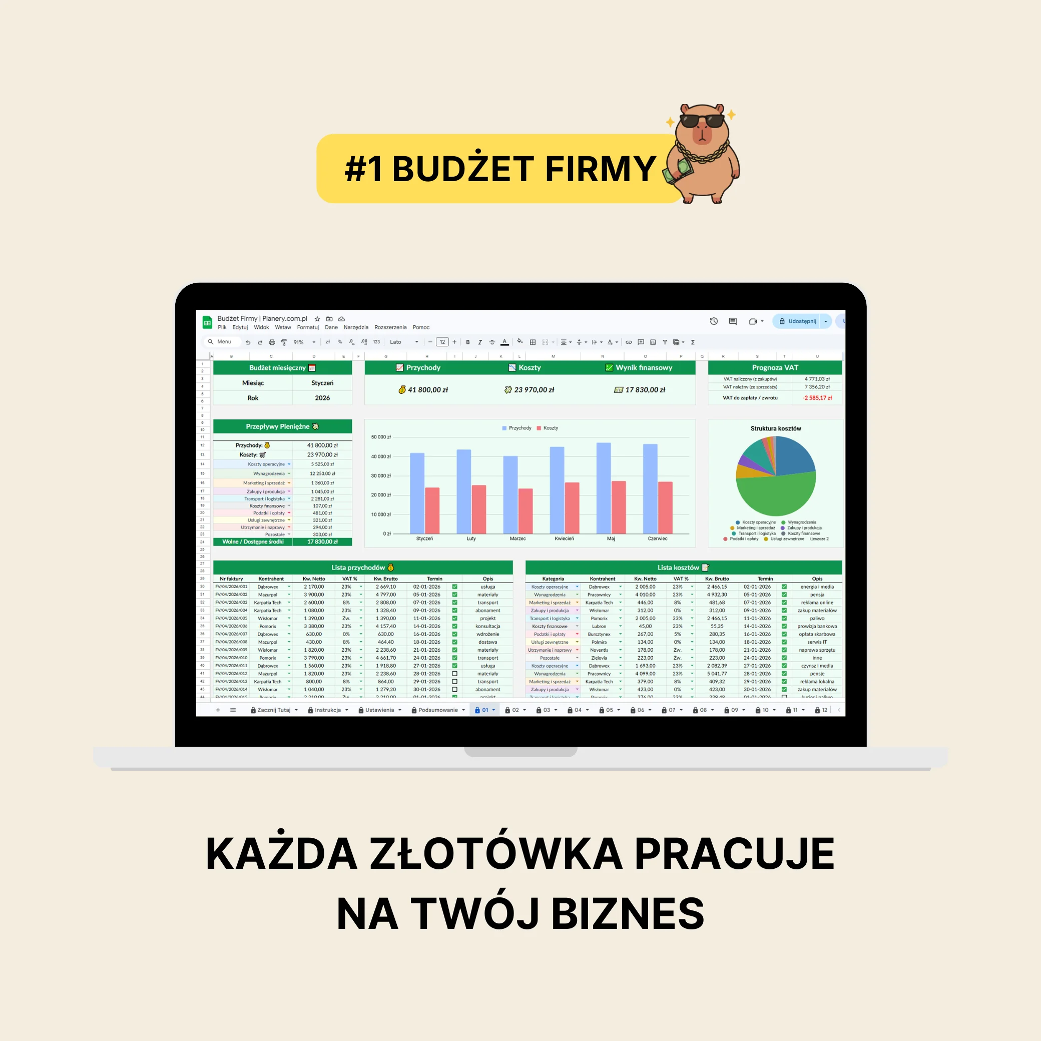 Budżet Firmy 2.0
