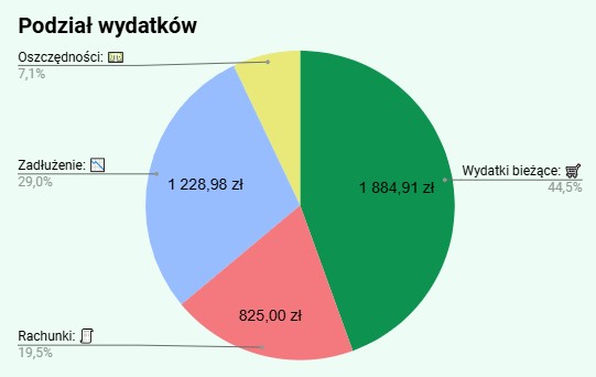 wykres podział wydatków