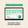 planer budżetu online