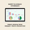 planer budżetu online 3