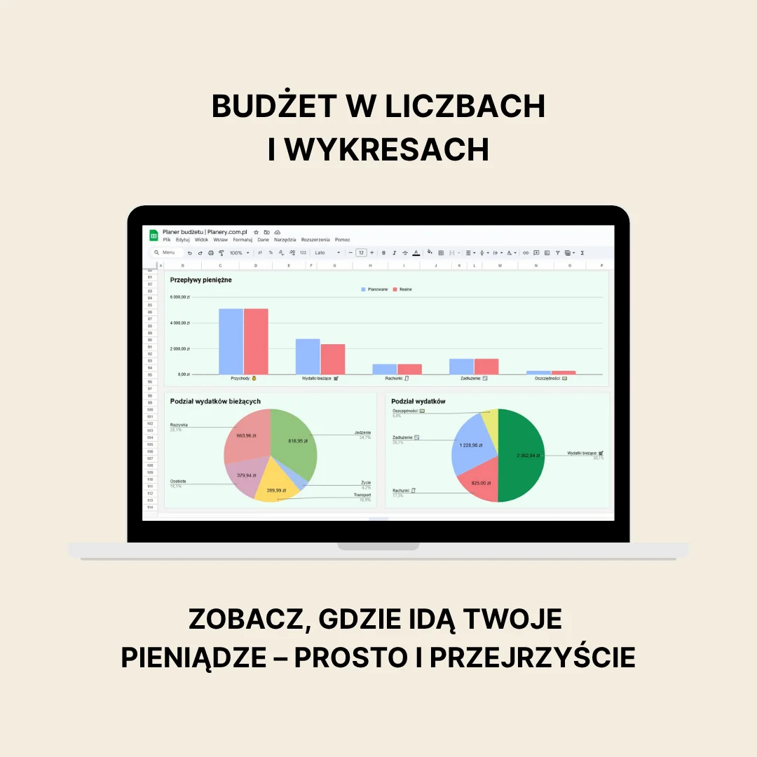 planer budżetu online 3