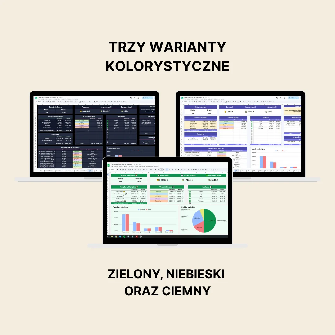planer budżetu online 5